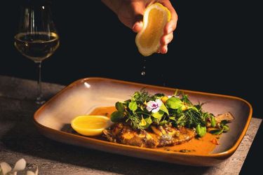 Hotel Sofitel Gold Coast Broadbeach Gold Coast - Queensland: Photo 