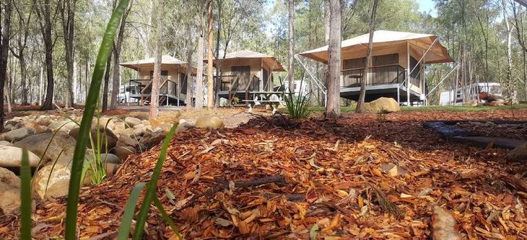 Hotel Paradise Country Farmstay Gold Coast - Queensland: Foto 