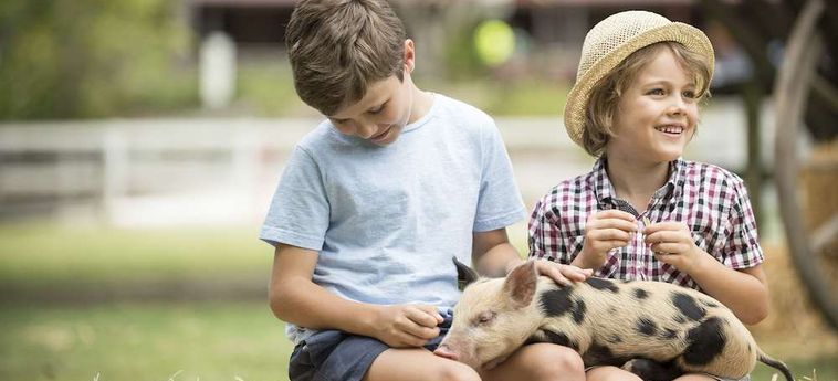 Hotel Paradise Country Farmstay Gold Coast - Queensland: Foto 