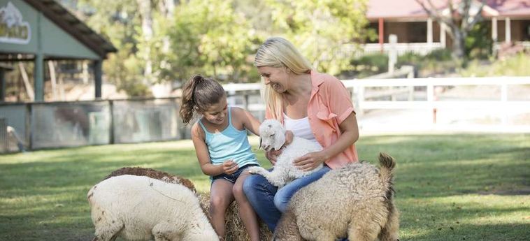 Hotel Paradise Country Farmstay Gold Coast - Queensland: Foto 