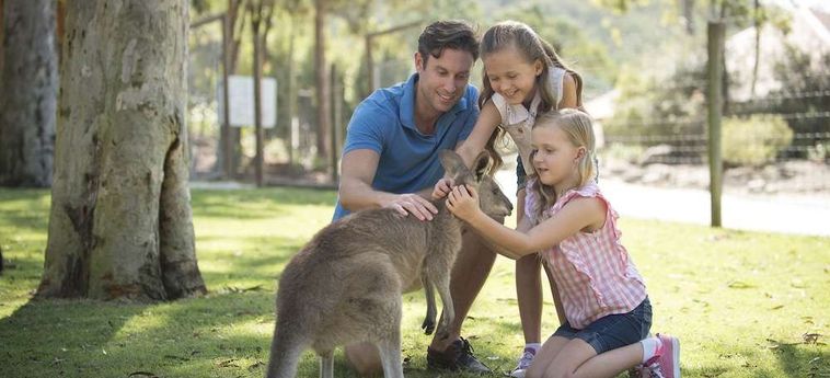 Hotel Paradise Country Farmstay Gold Coast - Queensland : Photo 