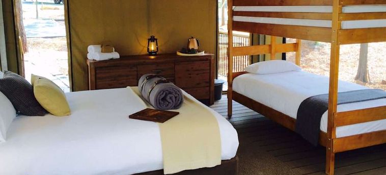 Hotel Paradise Country Farmstay Gold Coast - Queensland : Photo 