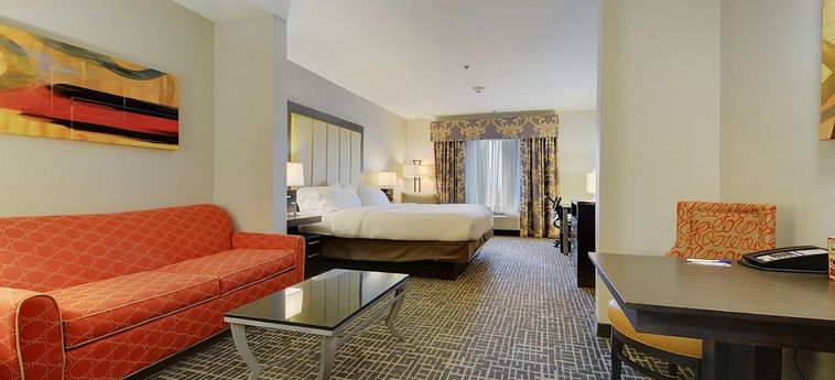 Hotel Holiday Inn Express & Suites Gonzales:  GONZALES (LA)