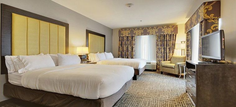 Hotel Holiday Inn Express & Suites Gonzales:  GONZALES (LA)