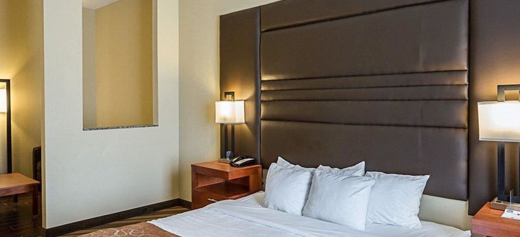Hotel Comfort Suites:  GONZALES (LA)