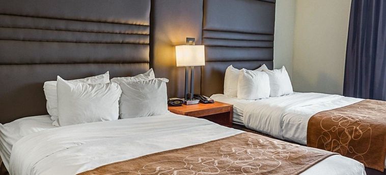 Hotel Comfort Suites:  GONZALES (LA)