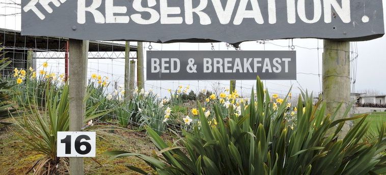 The Reservation, Bed And Breakfast:  GORE