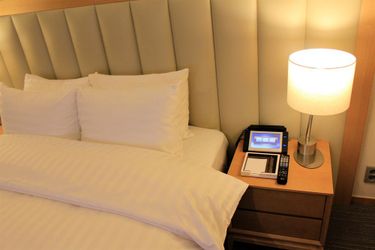 Hotel Sono Calm Goyang:  GOYANG