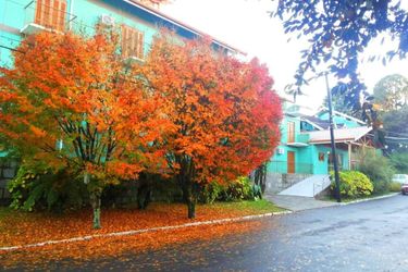 Zermatt Hotel Gramado: Photo 