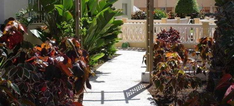 Hotel Los Ficus:  GRAN CANARIA - CANARIAS