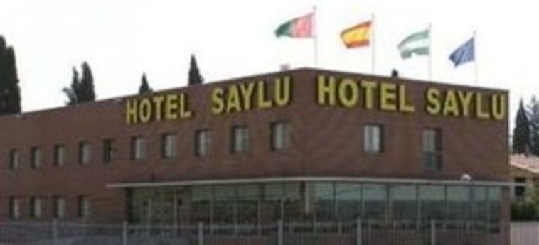 Hotel Saylu:  GRANADA