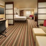 TOWNEPLACE SUITES BY MARRIOTT DALLAS DFW AIRPORT NORTH/GRAPEVINE 3 Stars