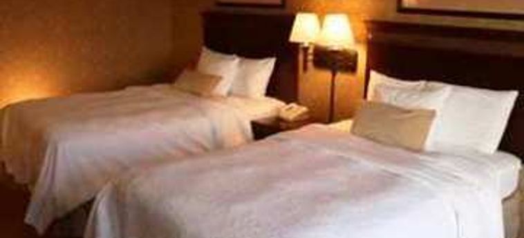 Hotel Hampton Inn Dallas Dfw Arpt N Grapevine:  GRAPEVINE (TX)