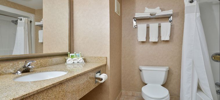 HOLIDAY INN EXPRESS & SUITES GREAT BARRINGTON - LENOX AREA 2 Sterne