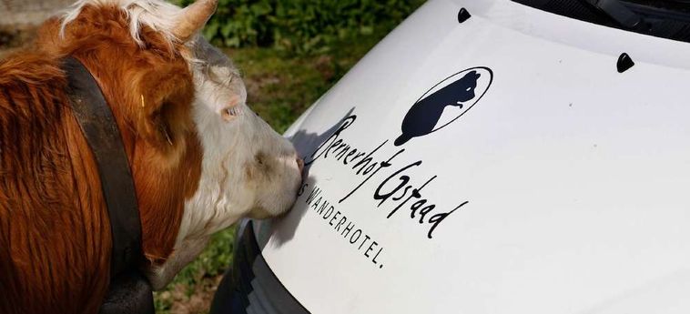 Bernerhof Swiss Quality Hotel Gstaad:  GSTAAD