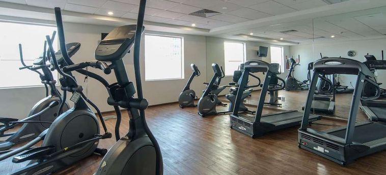 Hotel Holiday Inn Guadalajara Patria-Universidad Guadalajara: Foto 