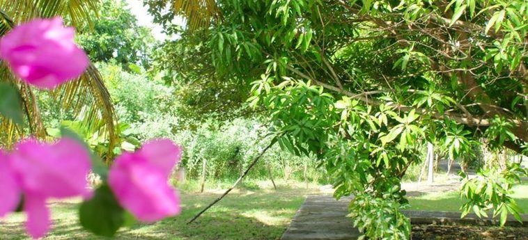 Hotel Au Jardin Debeausejour Guadalupe - Antillas Francesas: Foto 