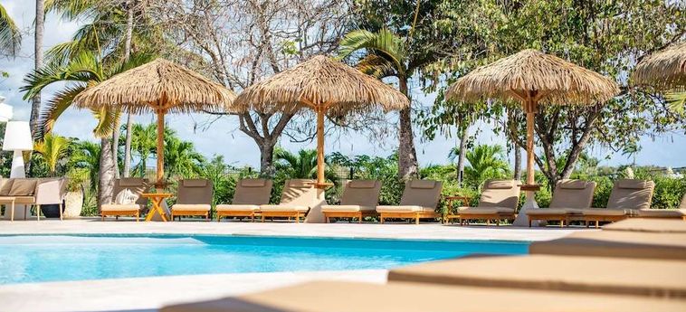 Relais Du Moulin Hotel De Charme &Amp; Spa Guadalupe - Antillas Francesas: Foto 