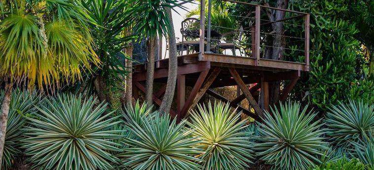 Relais Du Moulin Hotel De Charme &Amp; Spa Guadalupe - Antillas Francesas: Foto 