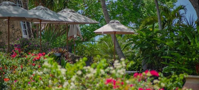 Relais Du Moulin Hotel De Charme &Amp; Spa Guadalupe - Antillas Francesas: Foto 
