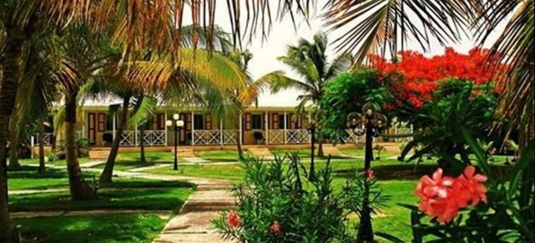 Hotel TAINOS COTTAGES
