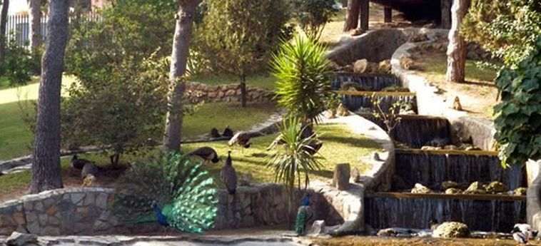 Hotel Cartagena - Three Bedroom Guardamar Del Segura - Costa Blanca: Photo 