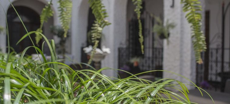 Hotel Ajau Colonial Guatemala City : Photo 