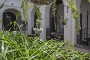 Hotel Ajau Colonial Guatemala City: Photo 