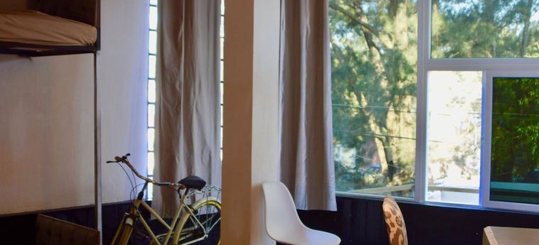 Kaena Point Hostel Guatemala City : Photo 