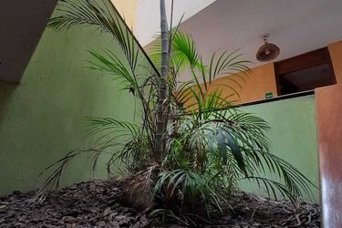 Hotel Ixbalanque Guatemala City: Photo 