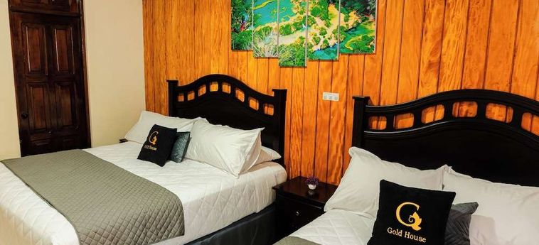 Gold House Guatemala City : Photo 