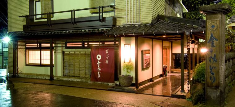 Hotel Kanemidori Gunma: Foto 