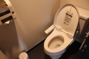 Hotel Kanemidori Gunma: Photo 