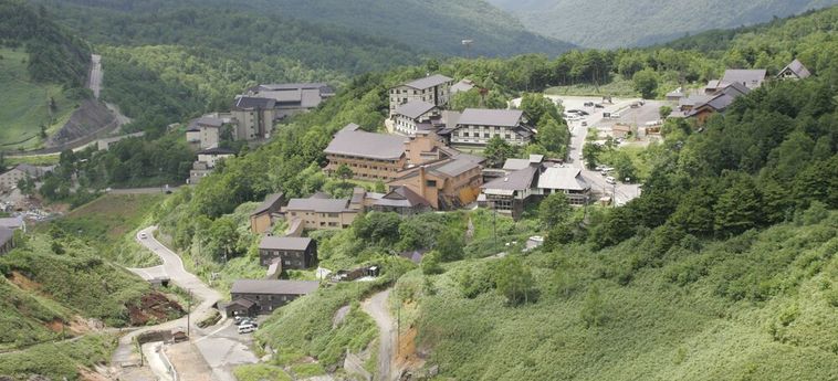 Hotel Manza Onsen Nisshinkan Gunma : Photo 