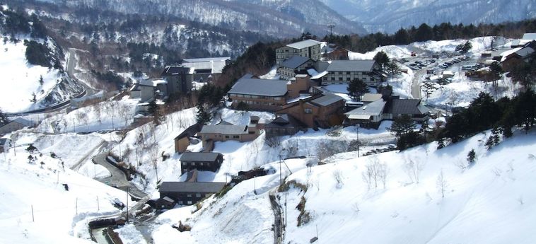 Hotel Manza Onsen Nisshinkan Gunma: Photo 