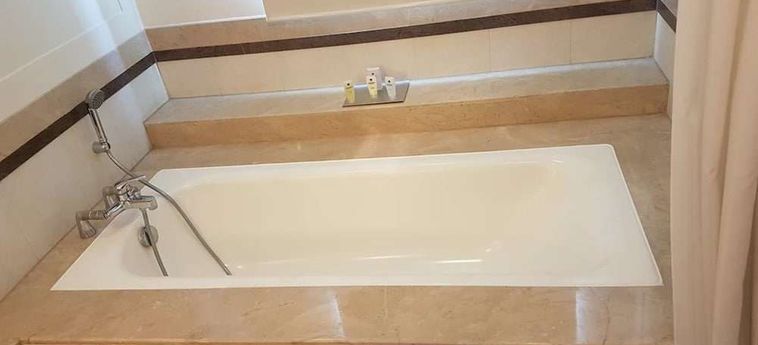 Hotel Park Plaza Gurgaon: Foto 