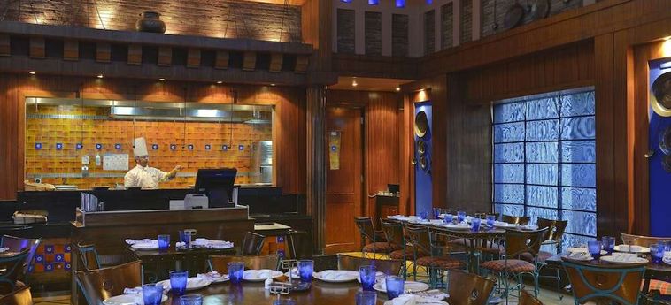 Hotel Park Plaza Gurgaon: Foto 