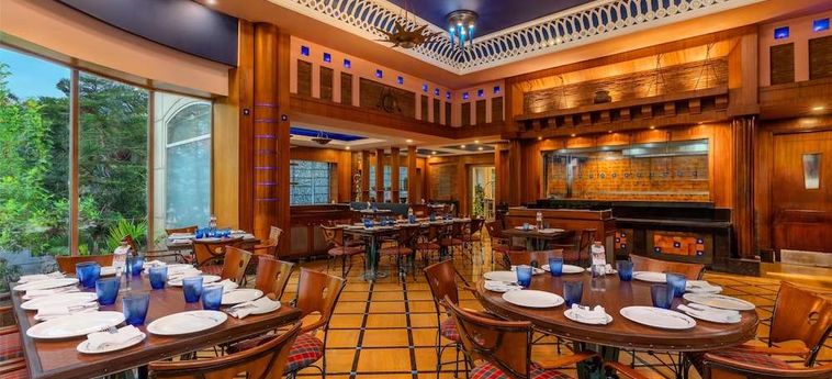 Hotel Park Plaza Gurgaon: Foto 