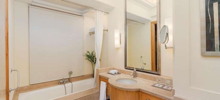 Hotel Park Plaza Gurgaon: Foto 