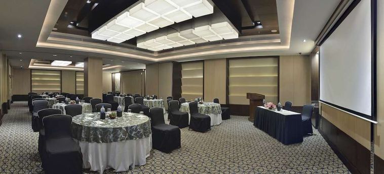 Hotel Park Plaza Gurgaon: Foto 