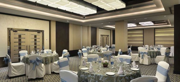 Hotel Park Plaza Gurgaon: Foto 