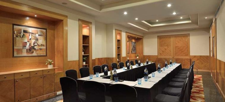 Hotel Park Plaza Gurgaon: Foto 
