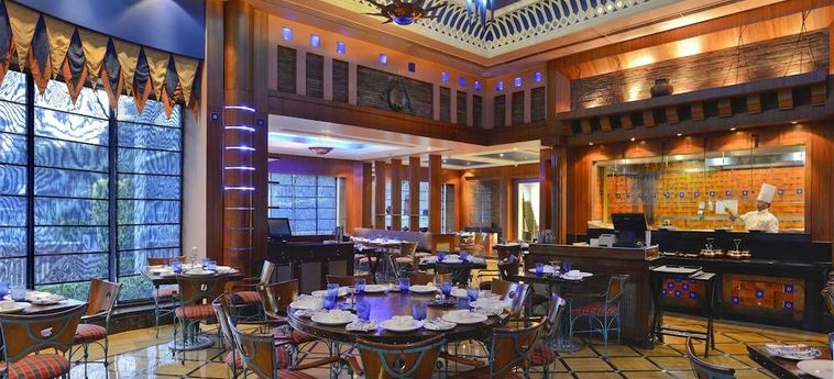 Hotel Park Plaza Gurgaon: Foto 