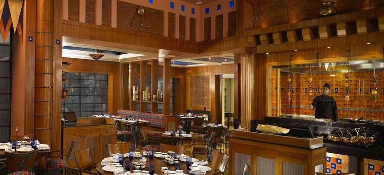 Hotel Park Plaza Gurgaon: Foto 
