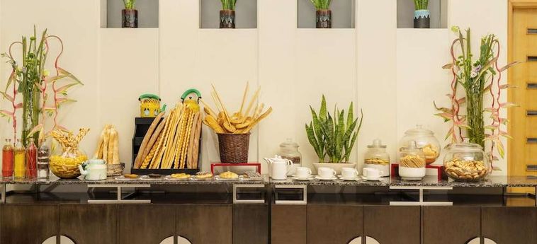 Hotel Park Plaza Gurgaon: Foto 