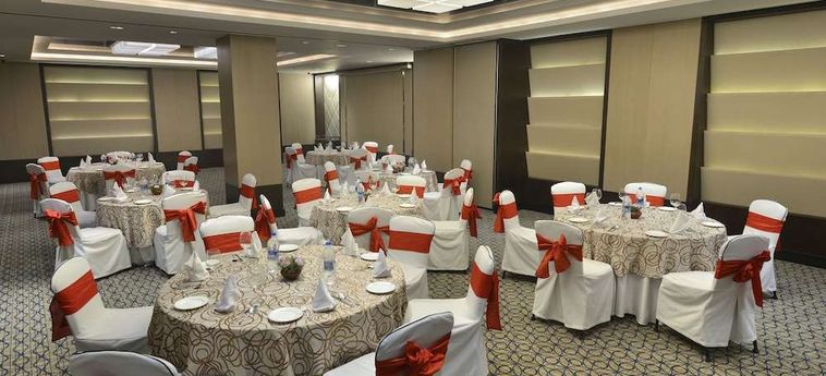 Hotel Park Plaza Gurgaon: Foto 
