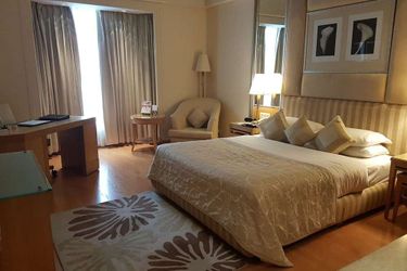 Hotel Park Plaza:  GURGAON