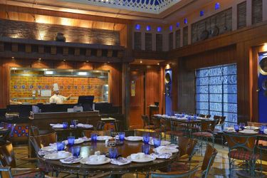 Hotel Park Plaza:  GURGAON