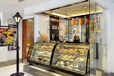 Hotel Park Plaza:  GURGAON