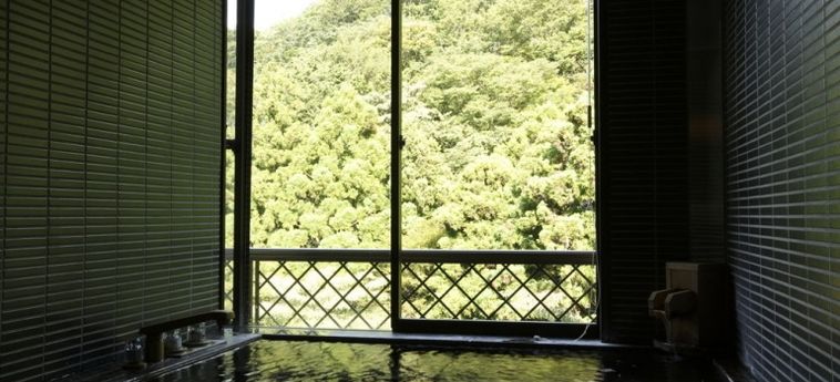 Hotel Manatei Hakone:  HAKONE - KANAGAWA PREFECTURE